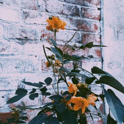 乐鱼官方手机app下载